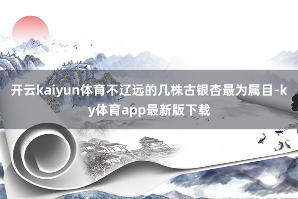 开云kaiyun体育不辽远的几株古银杏最为属目-ky体育app最新版下载