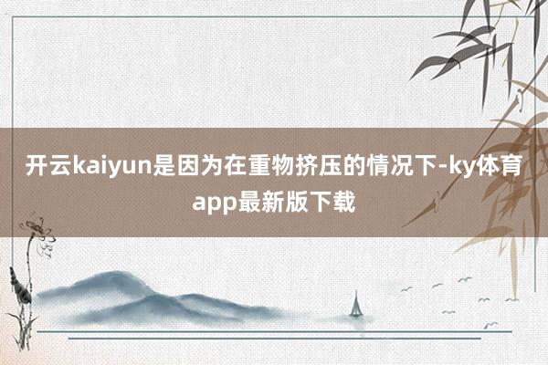 开云kaiyun是因为在重物挤压的情况下-ky体育app最新版下载