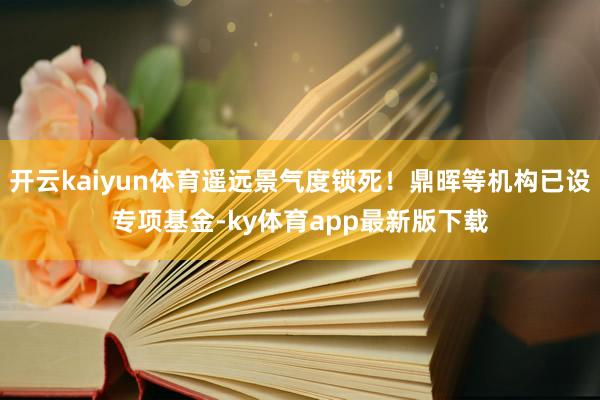 开云kaiyun体育遥远景气度锁死！鼎晖等机构已设专项基金-ky体育app最新版下载