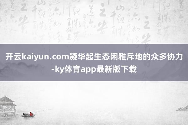 开云kaiyun.com凝华起生态闲雅斥地的众多协力-ky体育app最新版下载